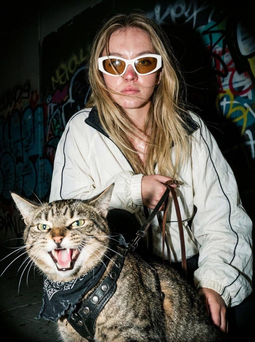 { "image_prompt_data": { "subjects": { "human": { "appearance": "Young woman with long, tousled blonde hair falling over shoulders.", "facial_features": "Neutral to serious expression, visible rosy mark or redness on the bridge of the nose, glossy lips.", "pose": "Crouching or leaning forward, hand gripping a leather leash." }, "animal": { "type": "Tabby cat (brown, black, and grey stripes).", "expression": "Mouth wide open in a hiss, meow, or yawn; visible teeth and tongue; intense and energetic expression.", "position": "Foreground, sitting or standing while leashed." } }, "attire_and_accessories": { "human_clothing": "White nylon track jacket or windbreaker with black piping/stripes running down the sleeves; retro sporty aesthetic.", "eyewear": "Thick-framed white rectangular sunglasses with amber/orange tinted lenses.", "animal_gear": "Black leather harness adorned with metal studs, black paisley bandana around the neck.", "props": "Brown leather leash held taut." }, "setting_and_background": { "location": "Urban exterior at night.", "background": "Dark wall covered in colorful, blurred graffiti tags (blue, yellow, red paint visible).", "atmosphere": "Gritty, underground, street-style vibe." }, "lighting_and_style": { "lighting_technique"…